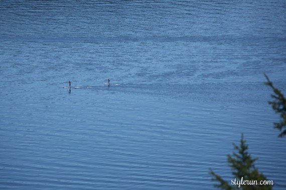 Quarry Rock Hike 9